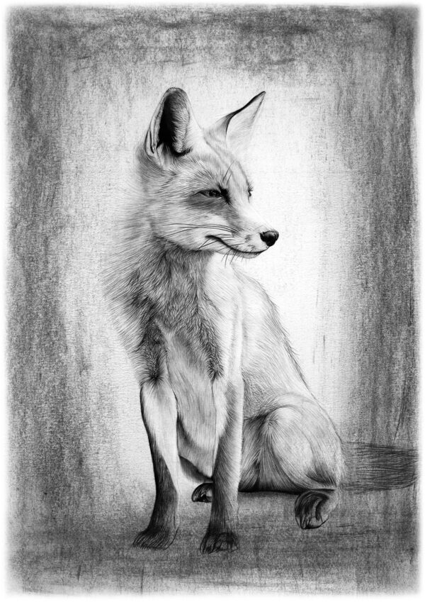 Red Fox Art Print