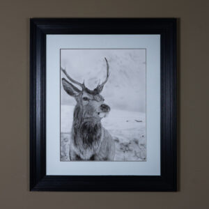 Original Framed Highland Stag Art