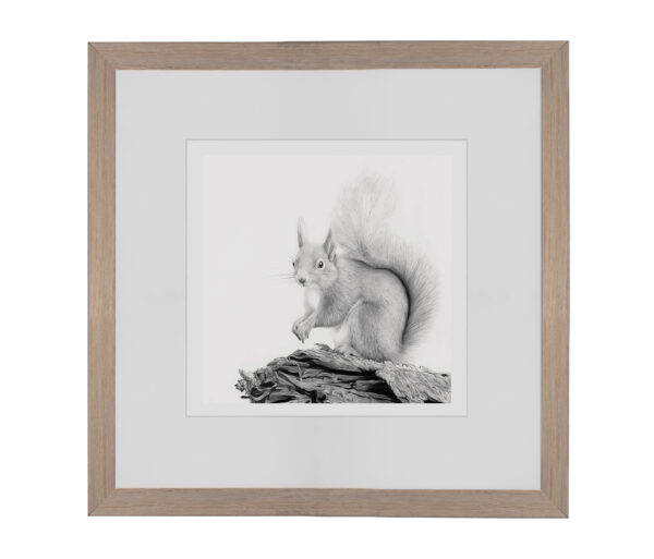 Rusty - Image 6