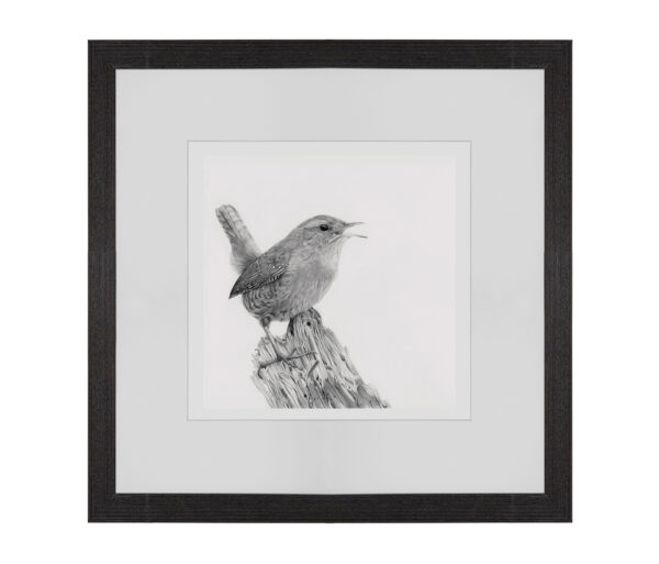 Little Wren - Image 3