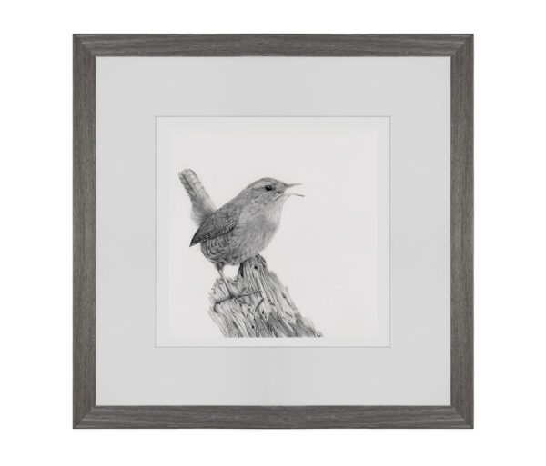 Little Wren - Image 4