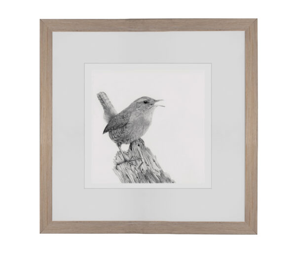 Little Wren - Image 6