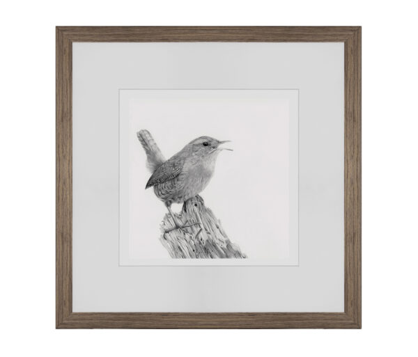Little Wren - Image 5