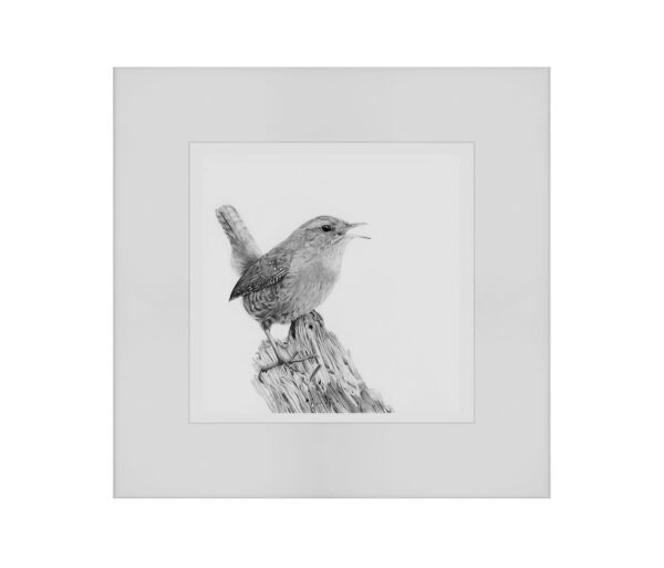 Little Wren - Image 2